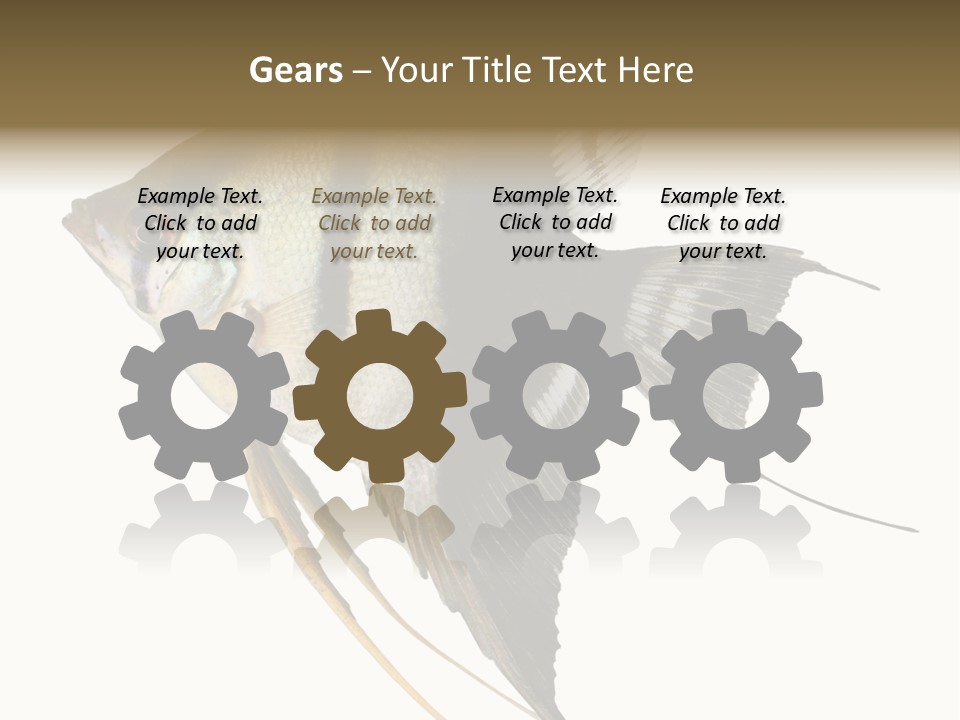 Sea Aquatic Water PowerPoint Template