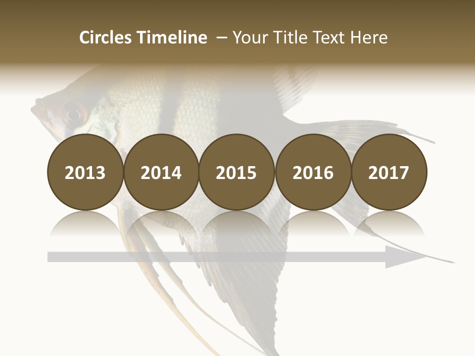 Sea Aquatic Water PowerPoint Template