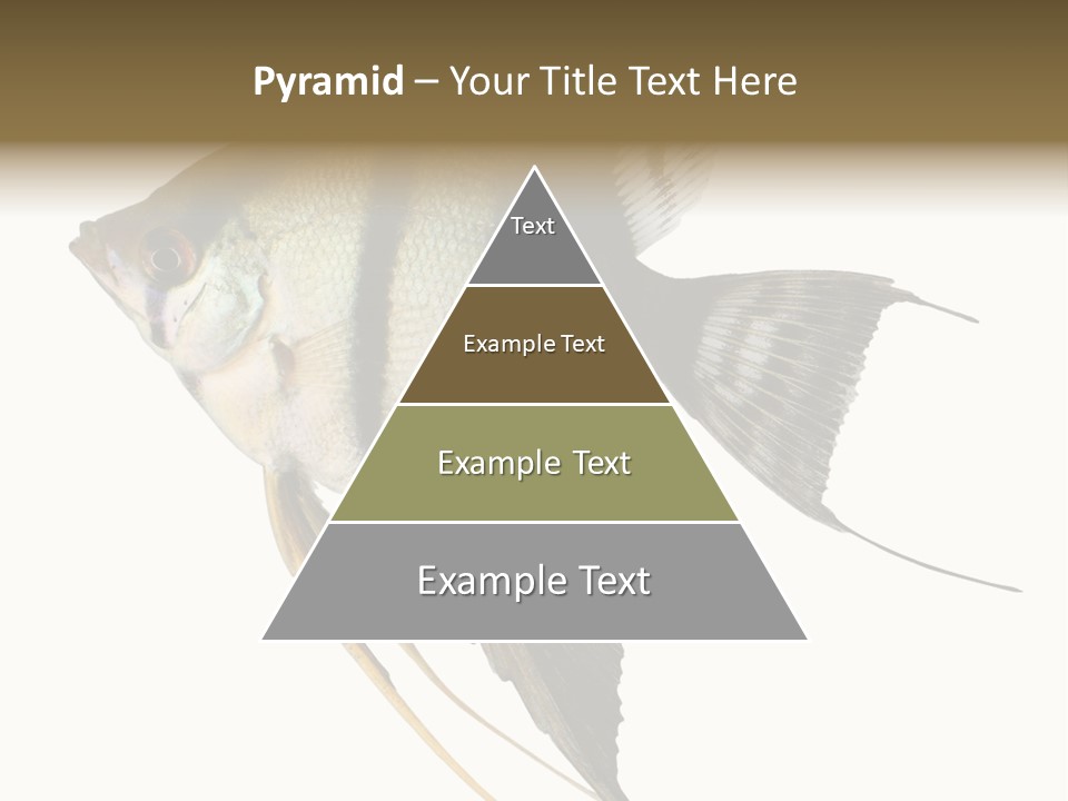 Sea Aquatic Water PowerPoint Template