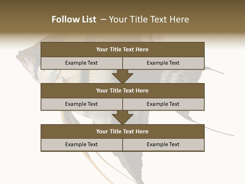 Sea Aquatic Water PowerPoint Template