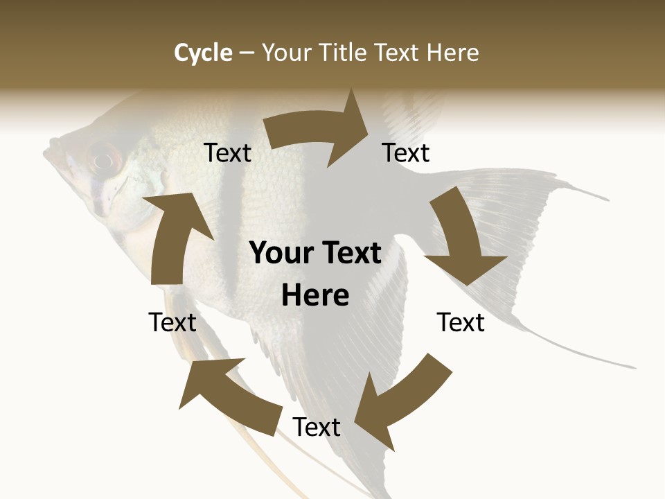 Sea Aquatic Water PowerPoint Template