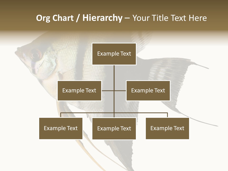 Sea Aquatic Water PowerPoint Template
