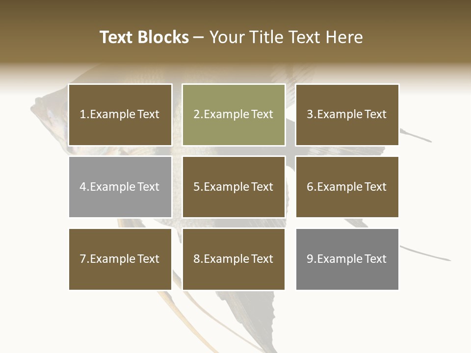 Sea Aquatic Water PowerPoint Template