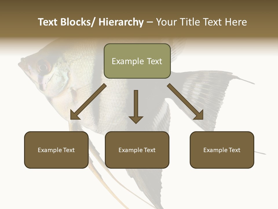 Sea Aquatic Water PowerPoint Template