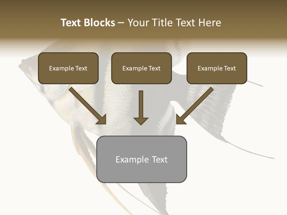 Sea Aquatic Water PowerPoint Template
