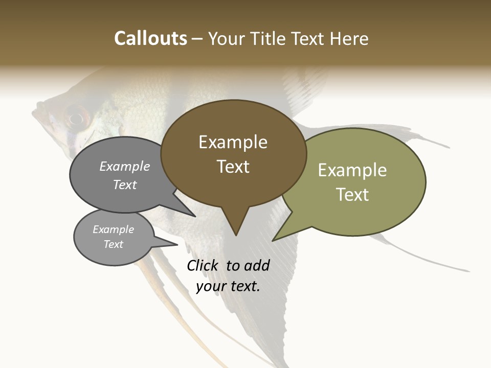 Sea Aquatic Water PowerPoint Template