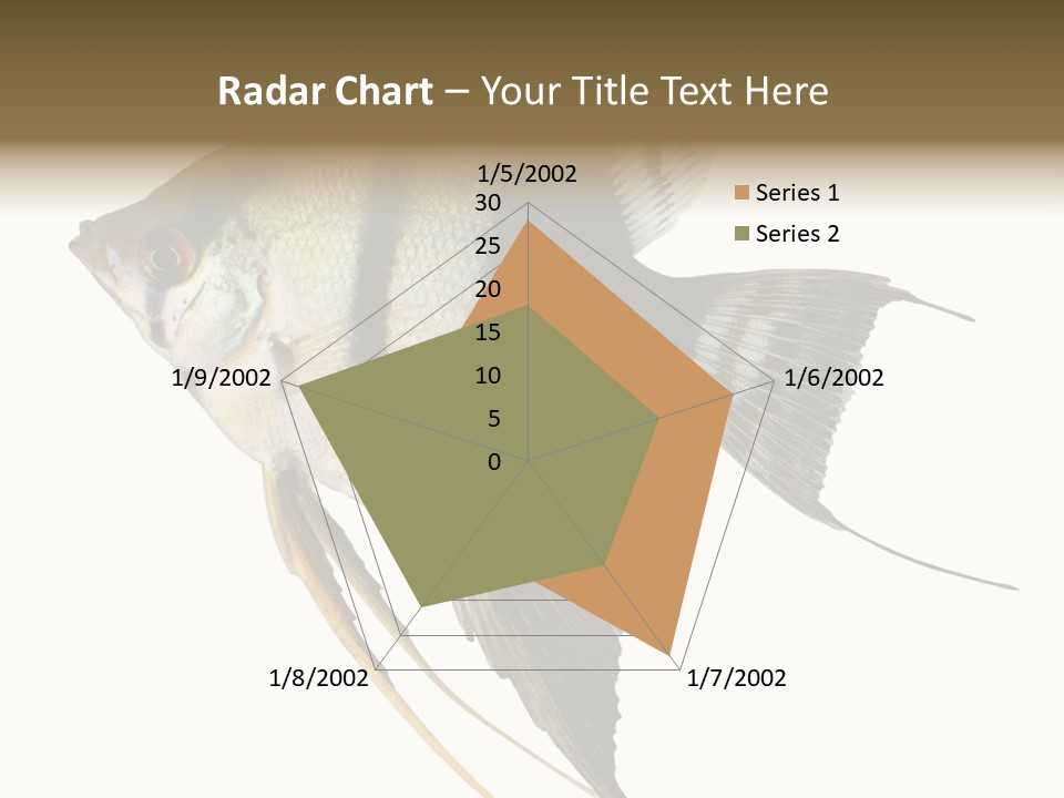 Sea Aquatic Water PowerPoint Template
