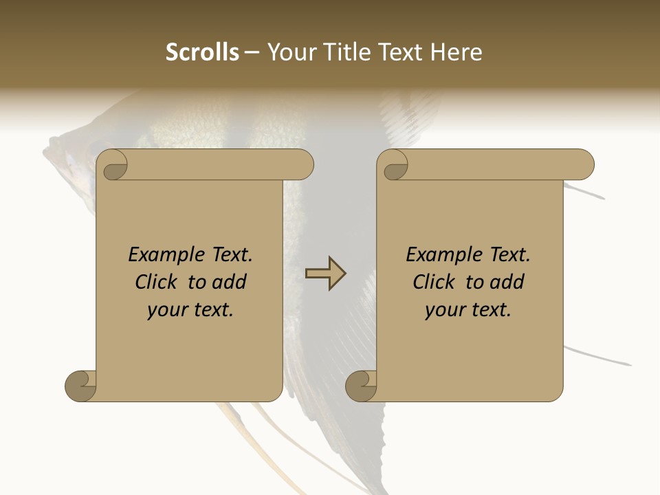 Sea Aquatic Water PowerPoint Template