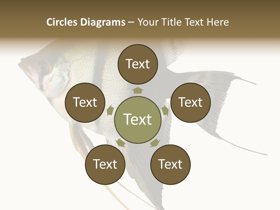 Sea Aquatic Water PowerPoint Template