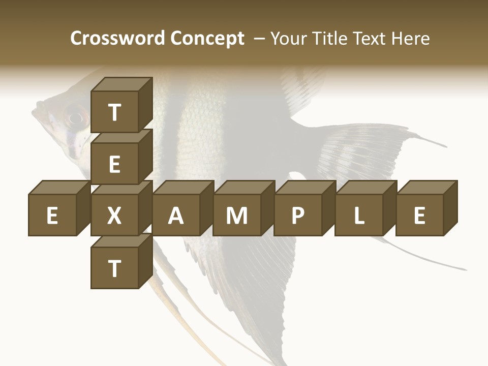 Sea Aquatic Water PowerPoint Template