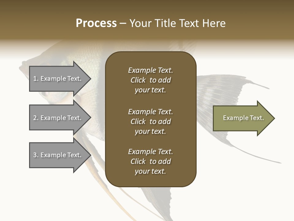 Sea Aquatic Water PowerPoint Template
