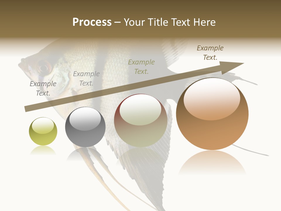 Sea Aquatic Water PowerPoint Template