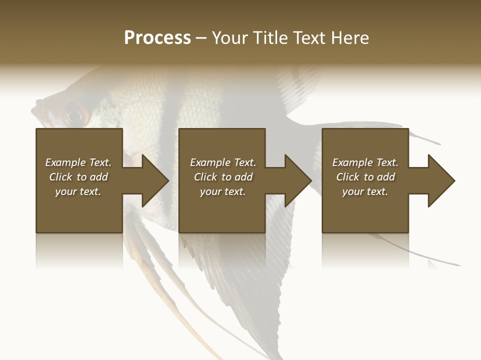 Sea Aquatic Water PowerPoint Template