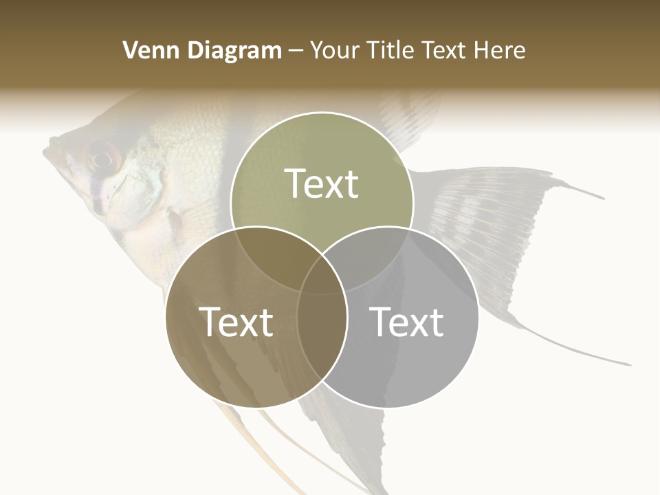 Sea Aquatic Water PowerPoint Template