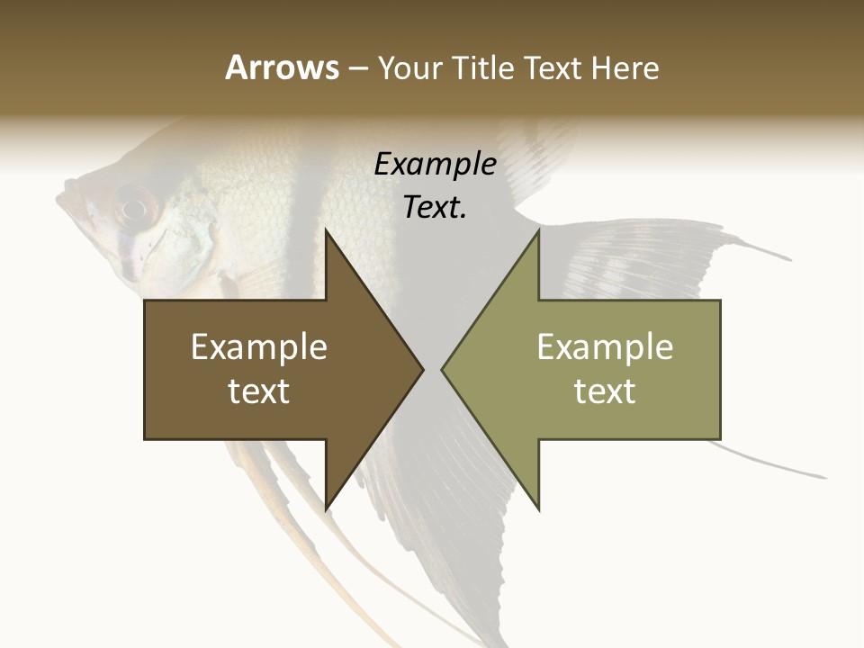 Sea Aquatic Water PowerPoint Template