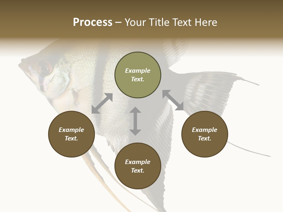 Sea Aquatic Water PowerPoint Template