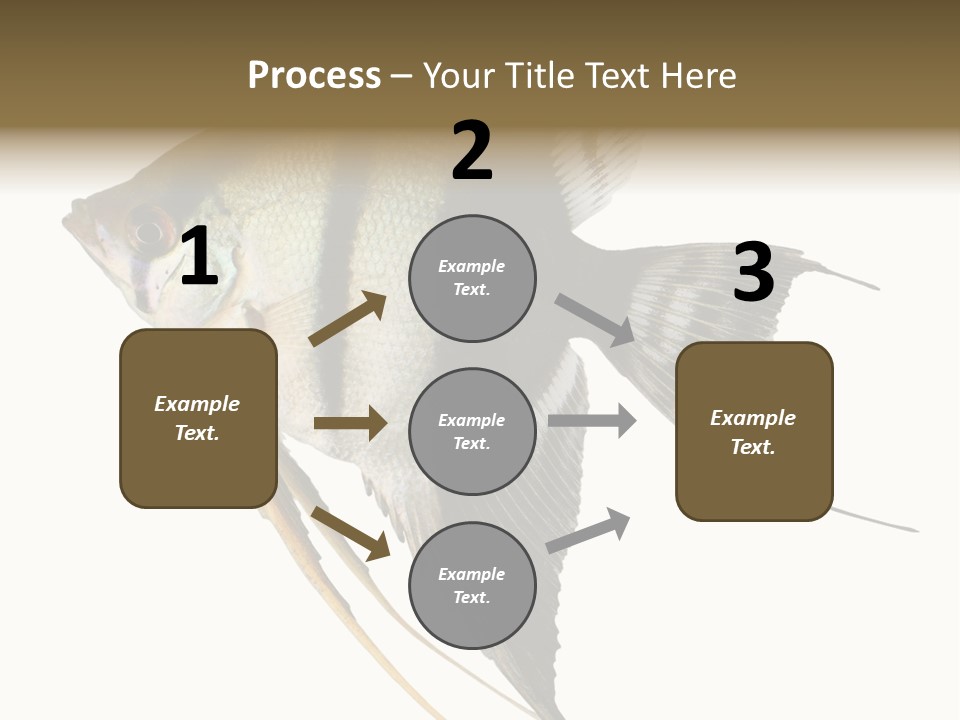 Sea Aquatic Water PowerPoint Template