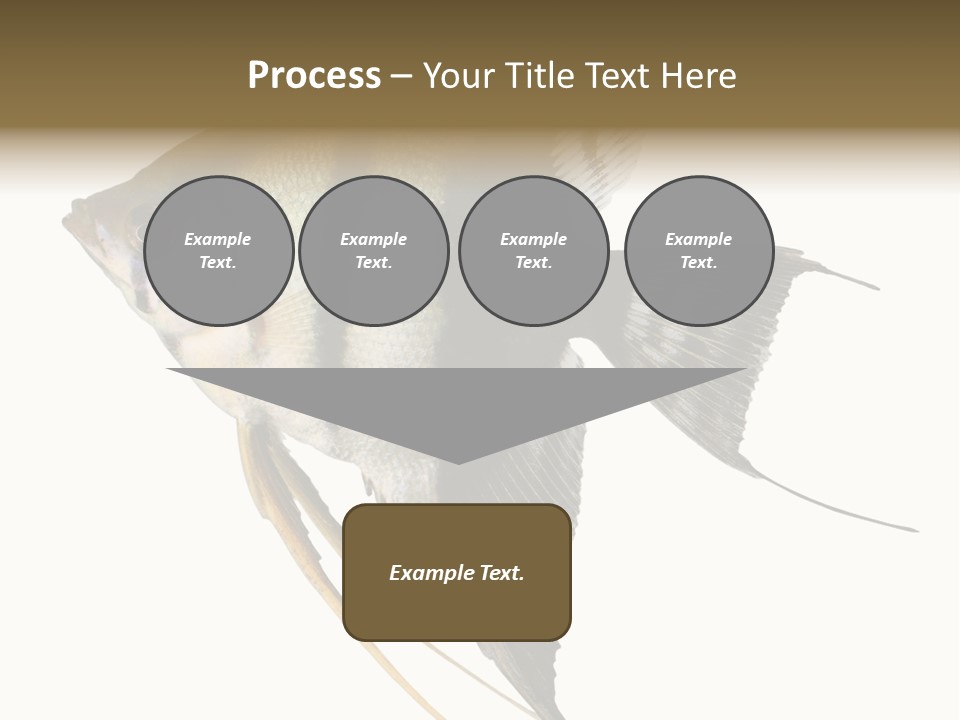 Sea Aquatic Water PowerPoint Template