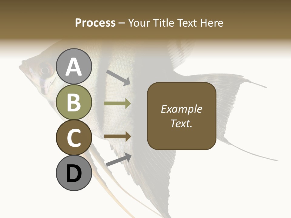 Sea Aquatic Water PowerPoint Template