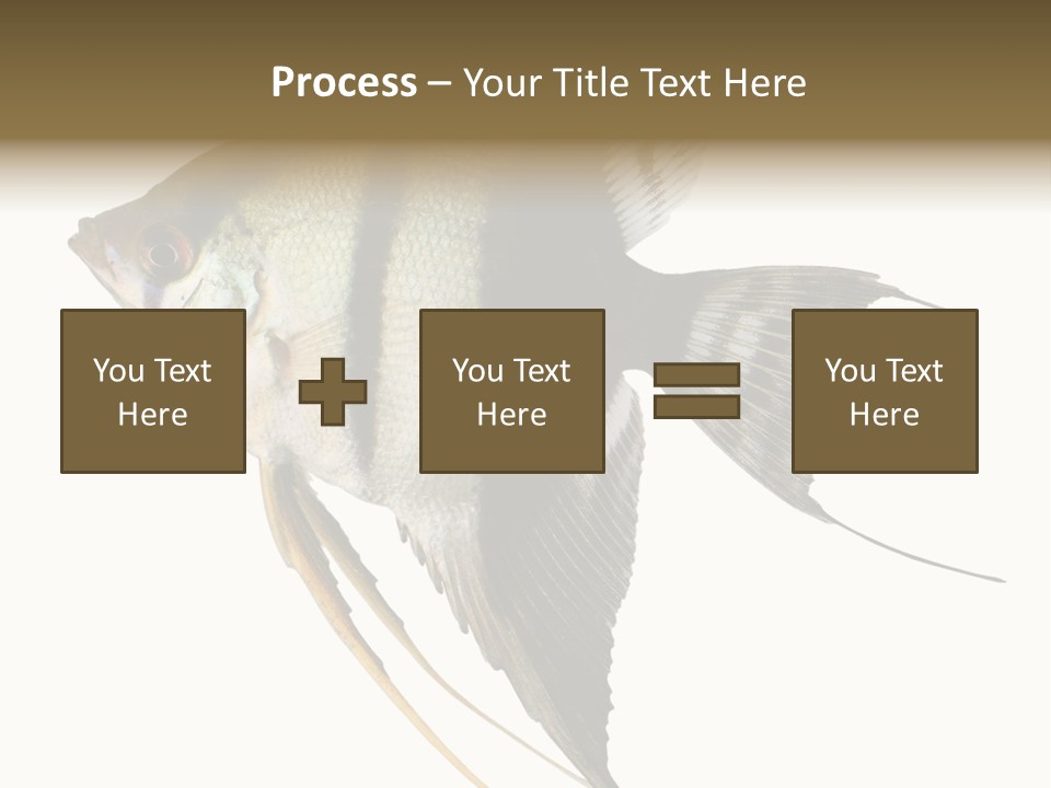 Sea Aquatic Water PowerPoint Template