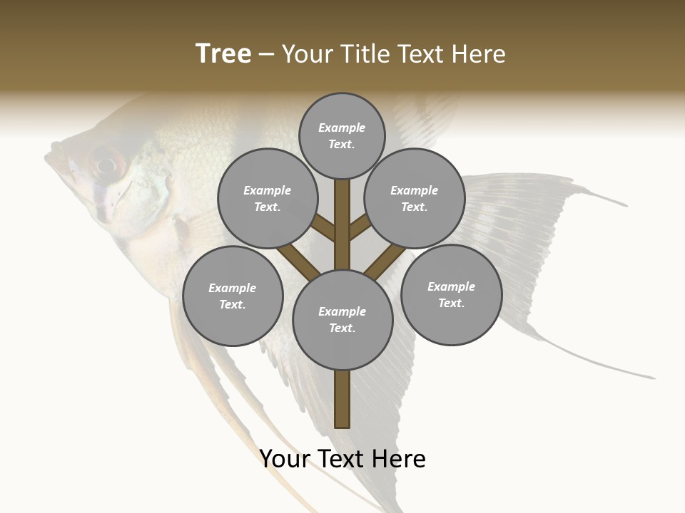 Sea Aquatic Water PowerPoint Template