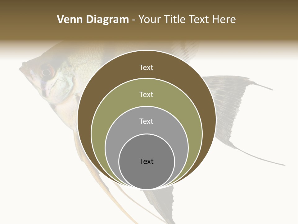 Sea Aquatic Water PowerPoint Template