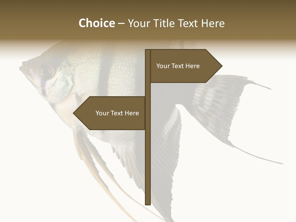 Sea Aquatic Water PowerPoint Template