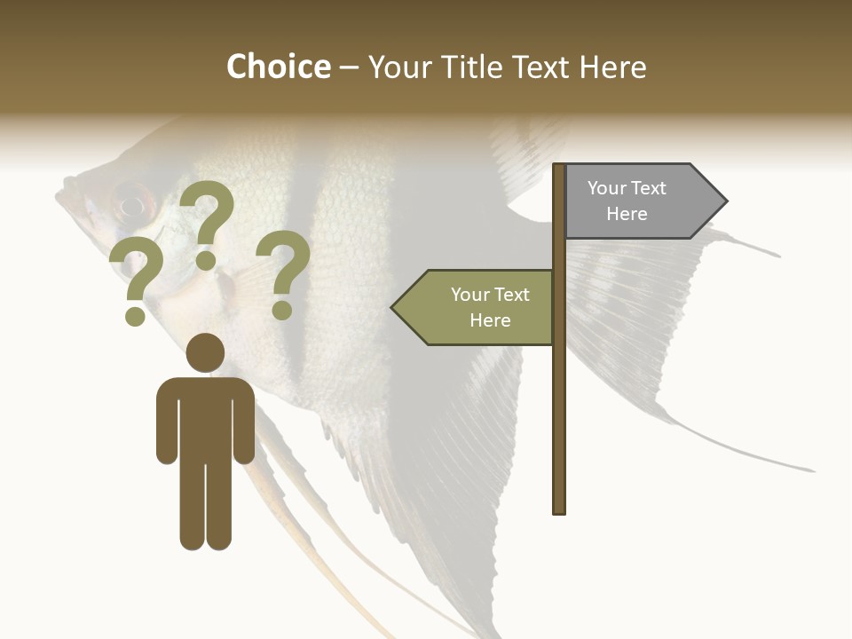 Sea Aquatic Water PowerPoint Template