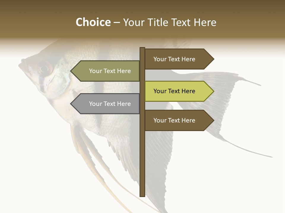 Sea Aquatic Water PowerPoint Template