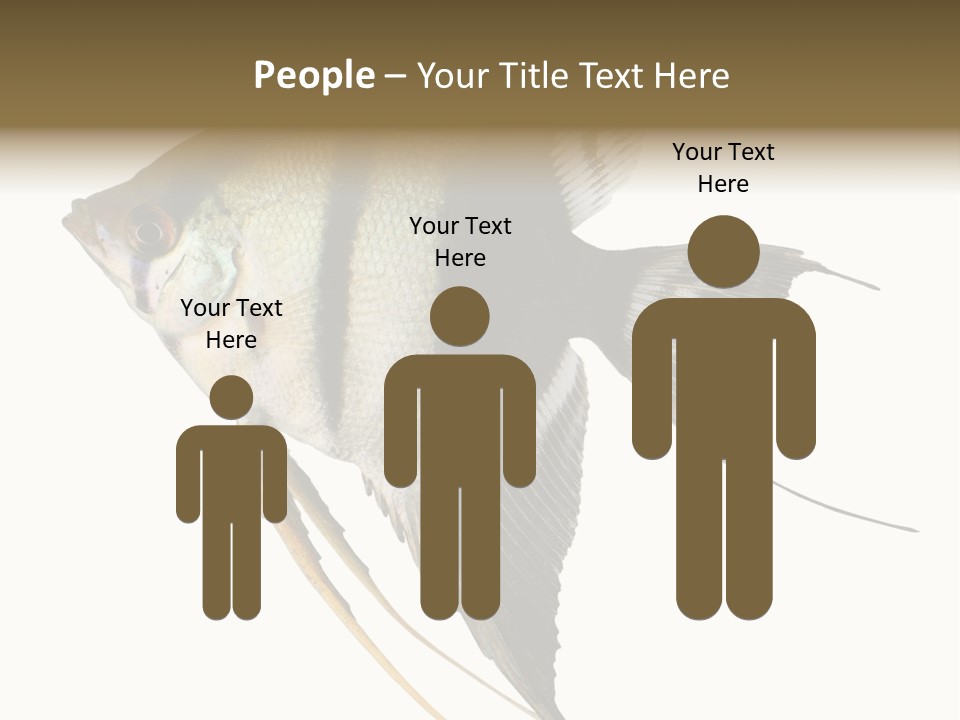 Sea Aquatic Water PowerPoint Template