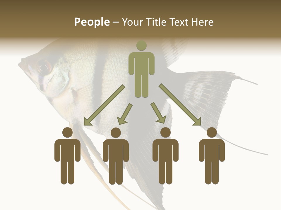 Sea Aquatic Water PowerPoint Template