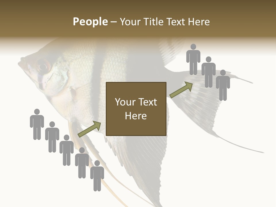 Sea Aquatic Water PowerPoint Template