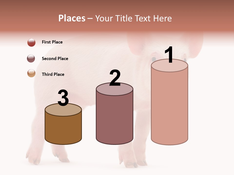 Animals Cattle Image PowerPoint Template