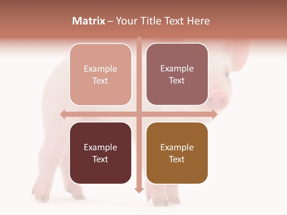 Animals Cattle Image PowerPoint Template