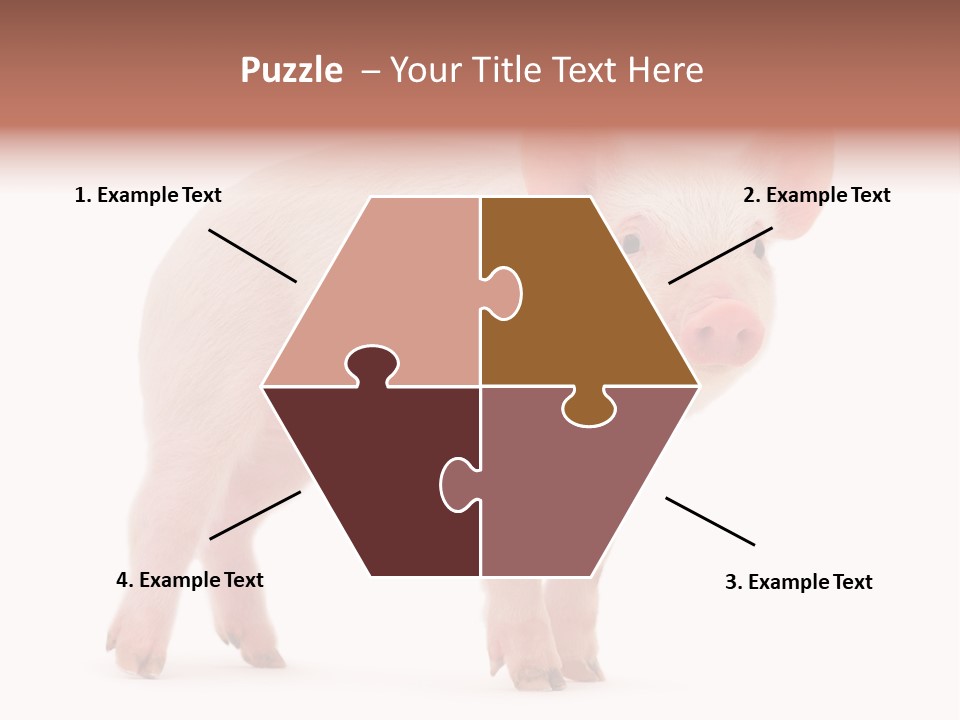 Animals Cattle Image PowerPoint Template