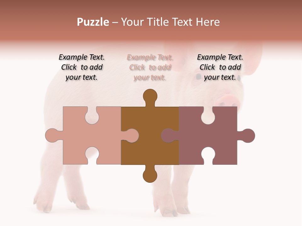 Animals Cattle Image PowerPoint Template