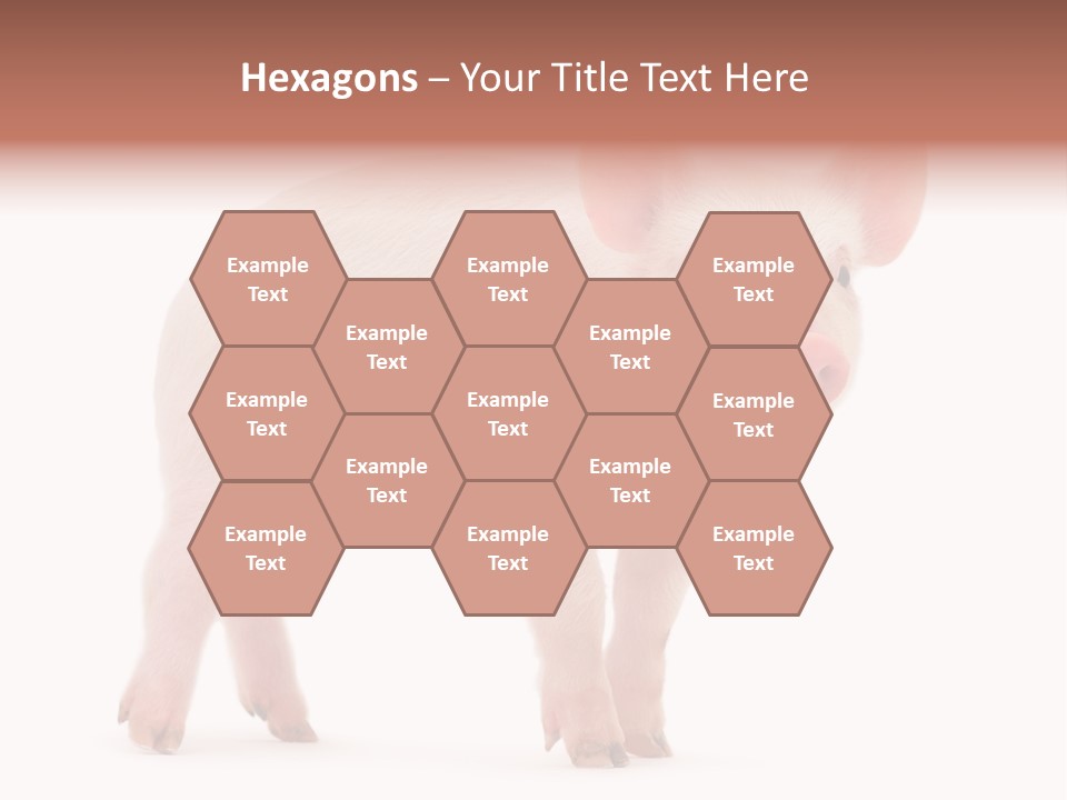 Animals Cattle Image PowerPoint Template