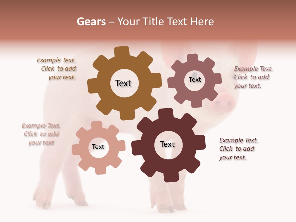 Animals Cattle Image PowerPoint Template