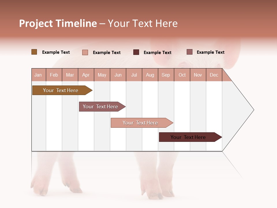 Animals Cattle Image PowerPoint Template