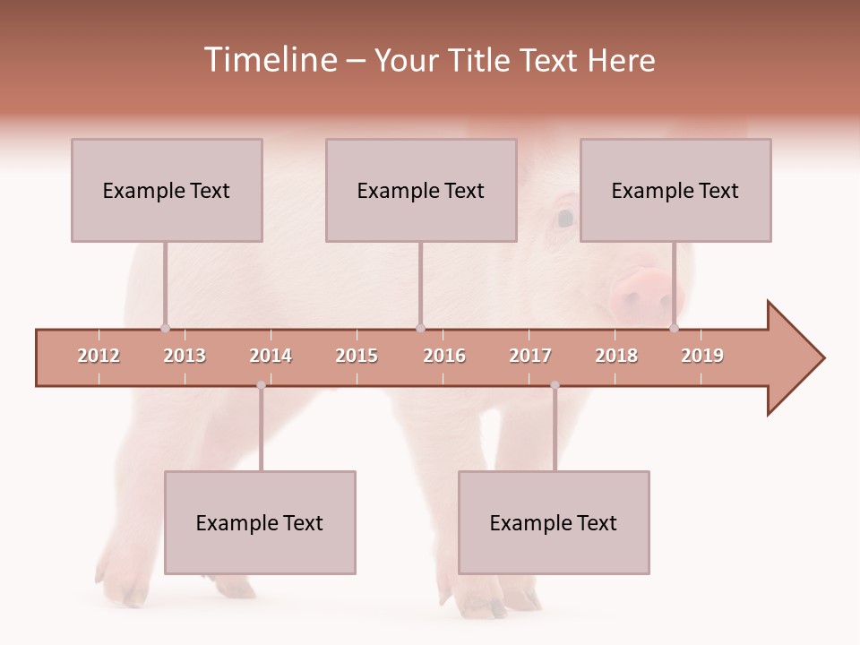 Animals Cattle Image PowerPoint Template