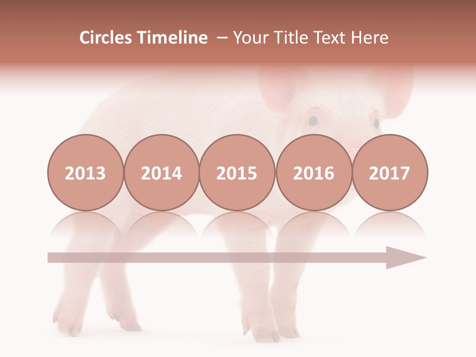 Animals Cattle Image PowerPoint Template