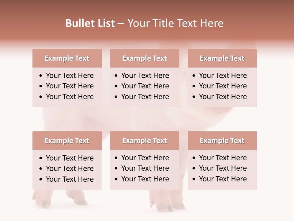 Animals Cattle Image PowerPoint Template