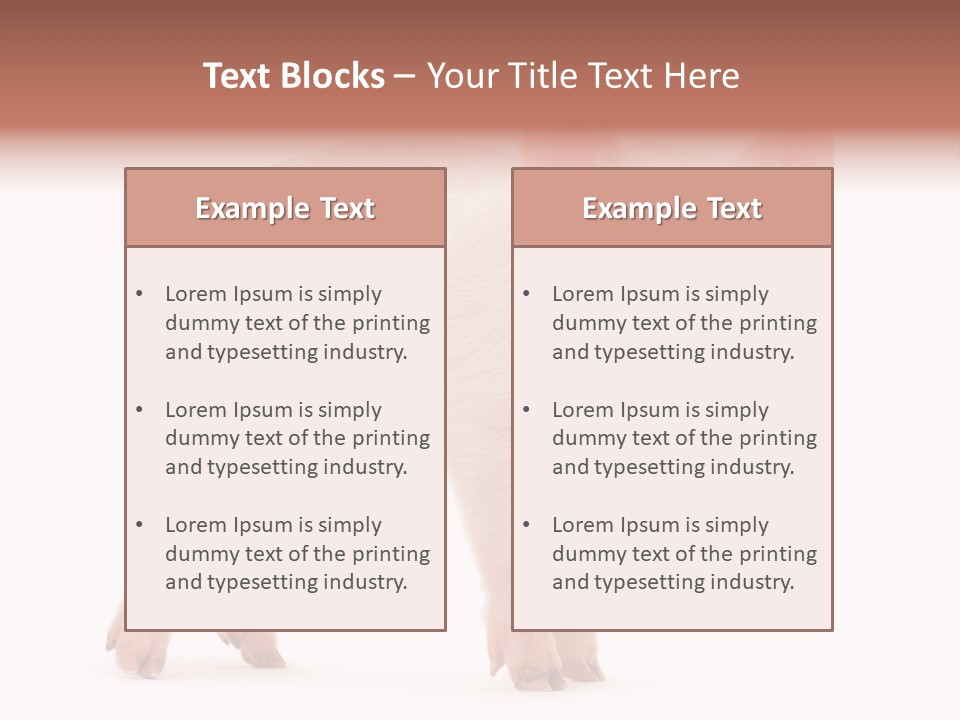 Animals Cattle Image PowerPoint Template