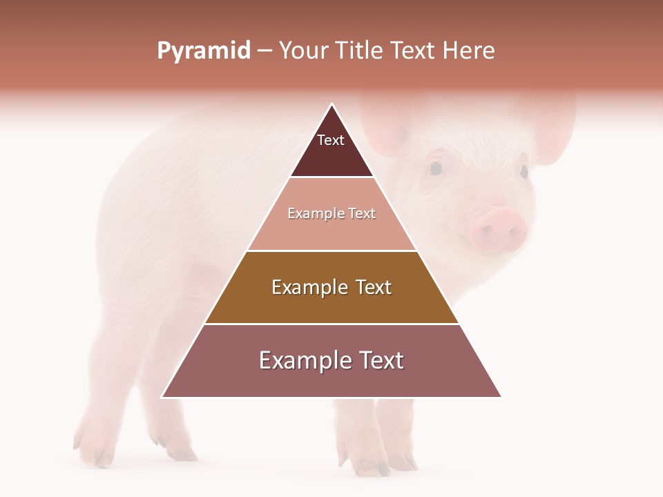 Animals Cattle Image PowerPoint Template