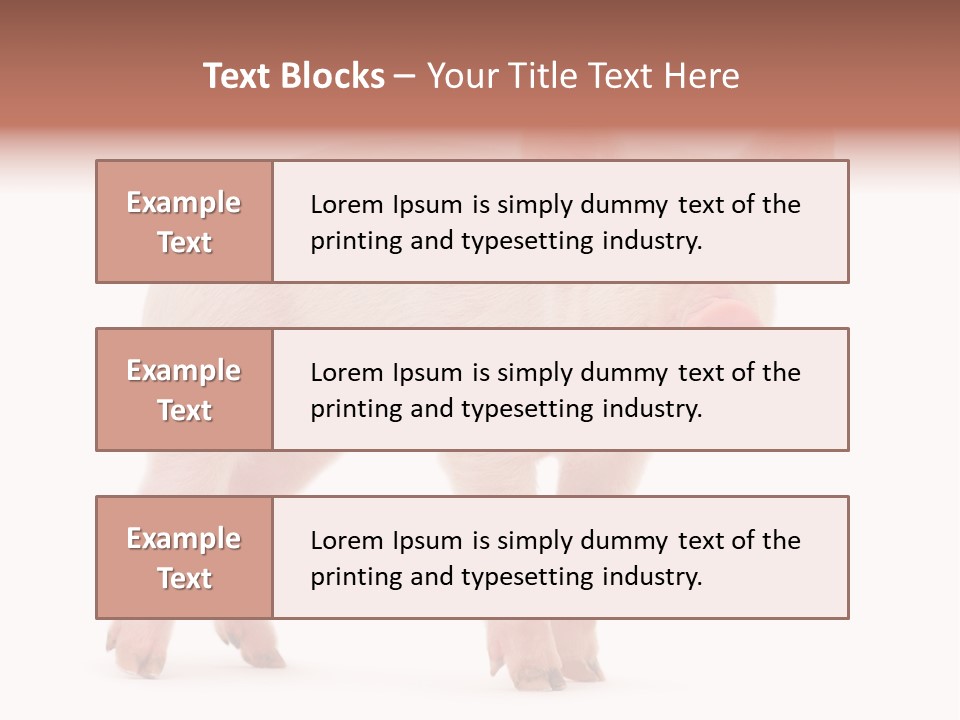 Animals Cattle Image PowerPoint Template