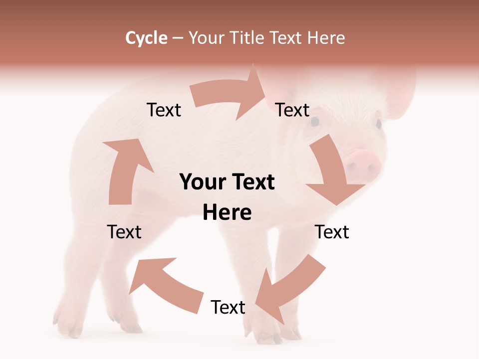 Animals Cattle Image PowerPoint Template