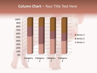 Animals Cattle Image PowerPoint Template