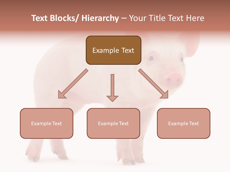 Animals Cattle Image PowerPoint Template