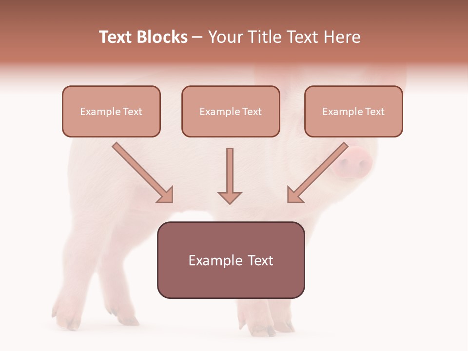 Animals Cattle Image PowerPoint Template