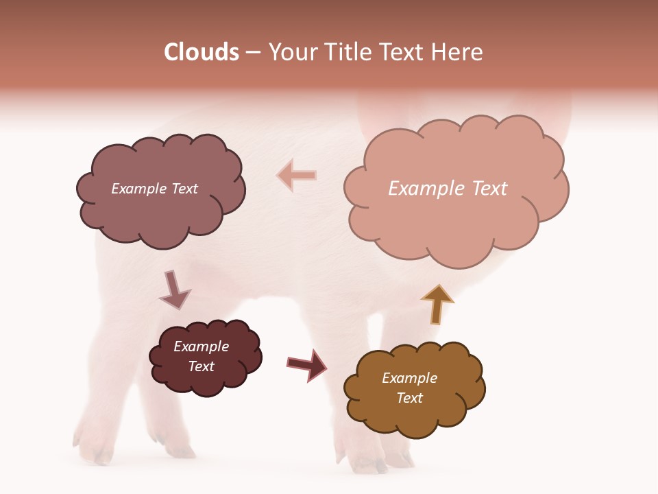 Animals Cattle Image PowerPoint Template